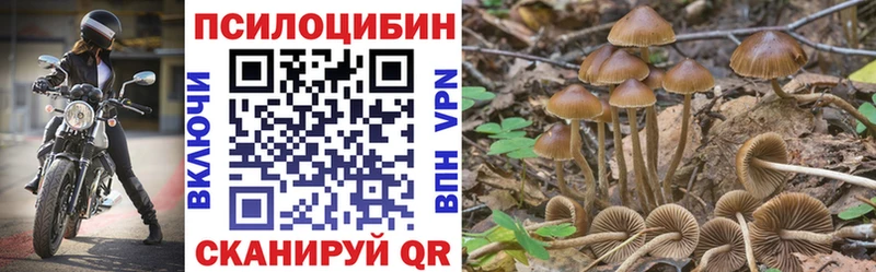 Галлюциногенные грибы прущие грибы Купить закладки Туран